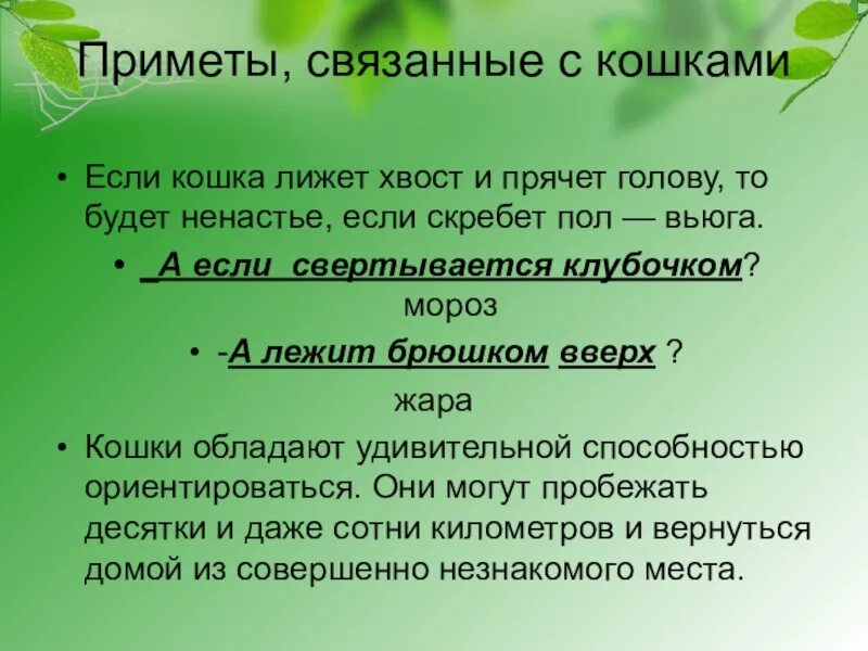 Почему вы выбрали именно эту тему. Почему я выбрала профессию учителя. Почему вы выбрали профессию учителя. Почему я выбрала педагогическую профессию. Сочинение почему я выбрала профессию учителя.