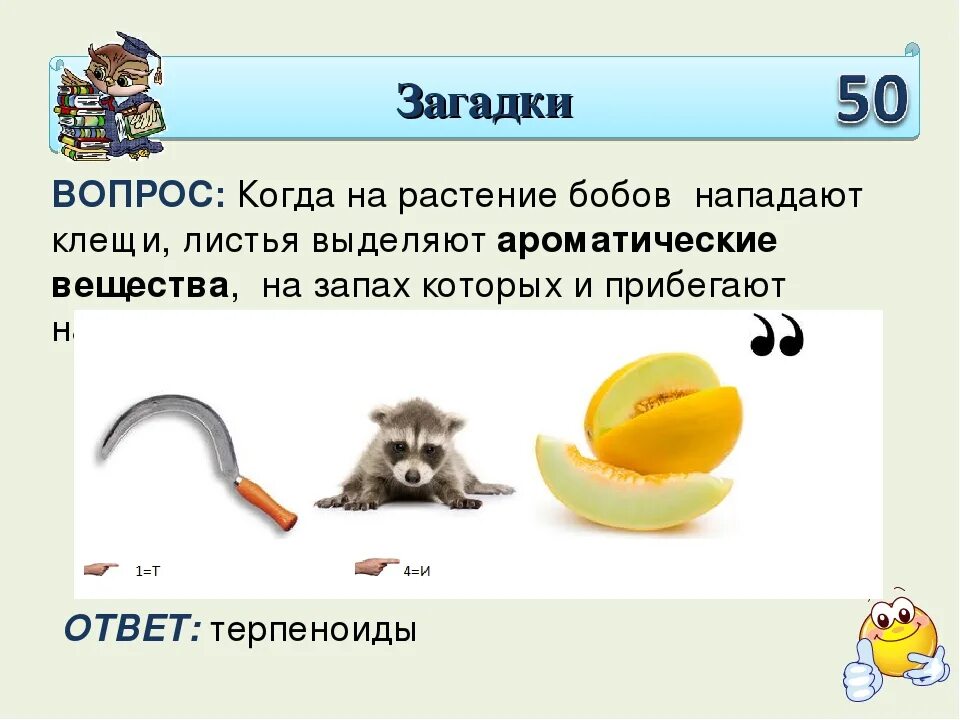 Большой вопрос загадки. Загадки вопросы. Загадки вопросы с ответами. Вопросы или загадки. Загадки вопросы 5 класс.