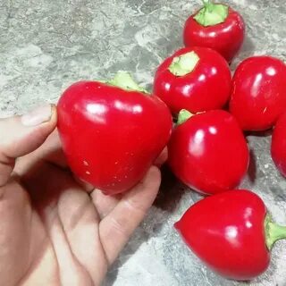 Яблоко болгарский перец