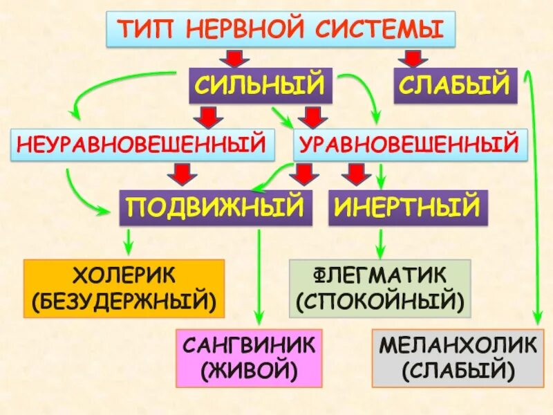 Сильный уравновешенный подвижный тип нервной