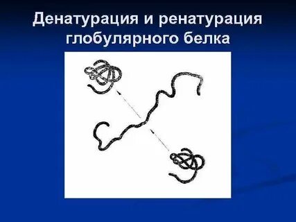 Денатурация трипсина