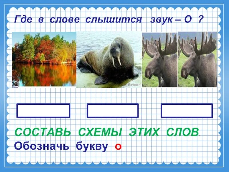 Где слышится звук. Слова где слышится звук о в слове. Звуки слышатся. Слова в которых слышится звук а. Доносится звуки и буквы