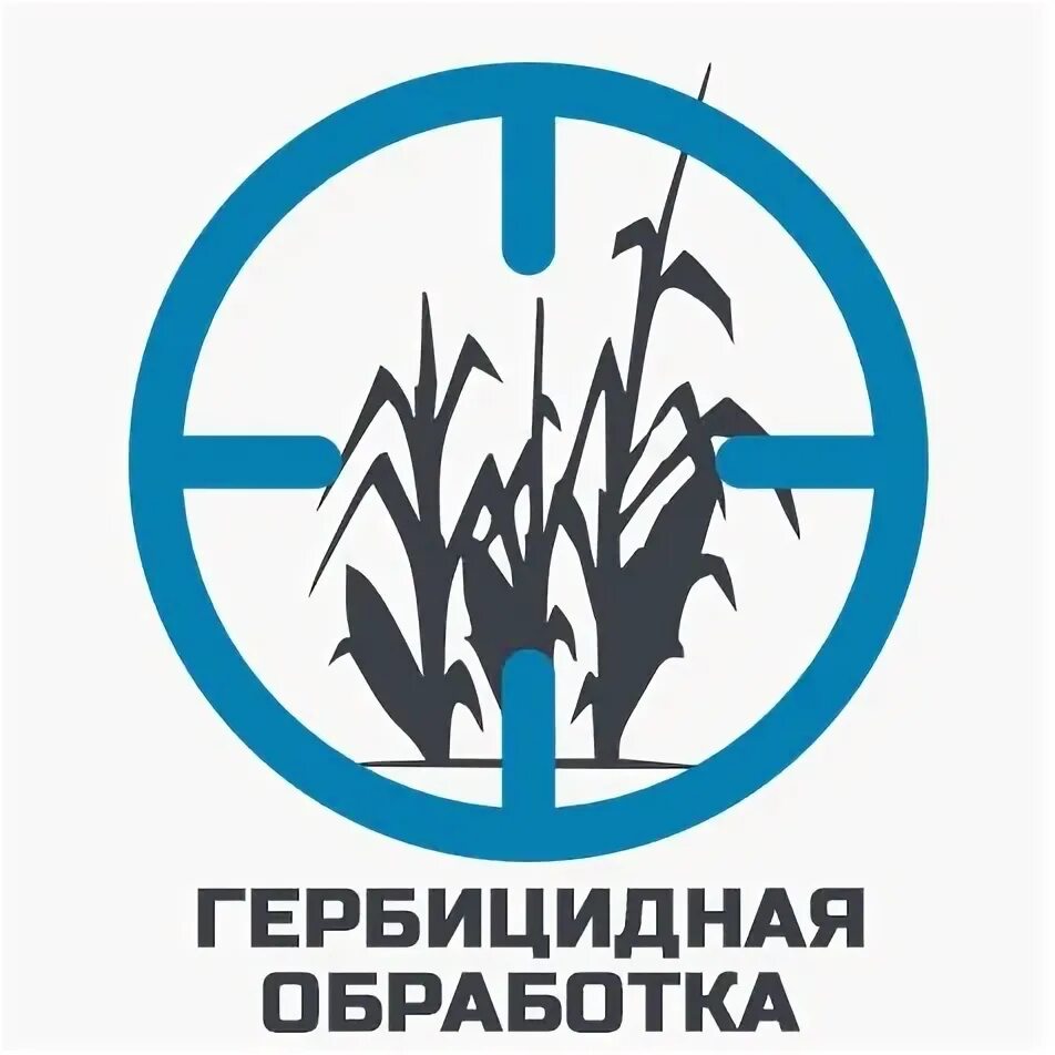 Обработка борщевика гербицидами. Гербицидная обработка. Гербицид борщевик. Борщевик сосновского обработка обработка. Гербицидная обработка.