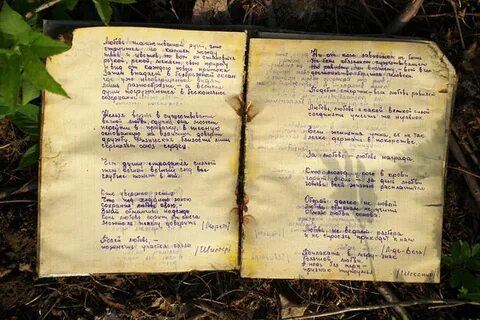 Раскіданае гняздо краткое содержаніе на белорусском