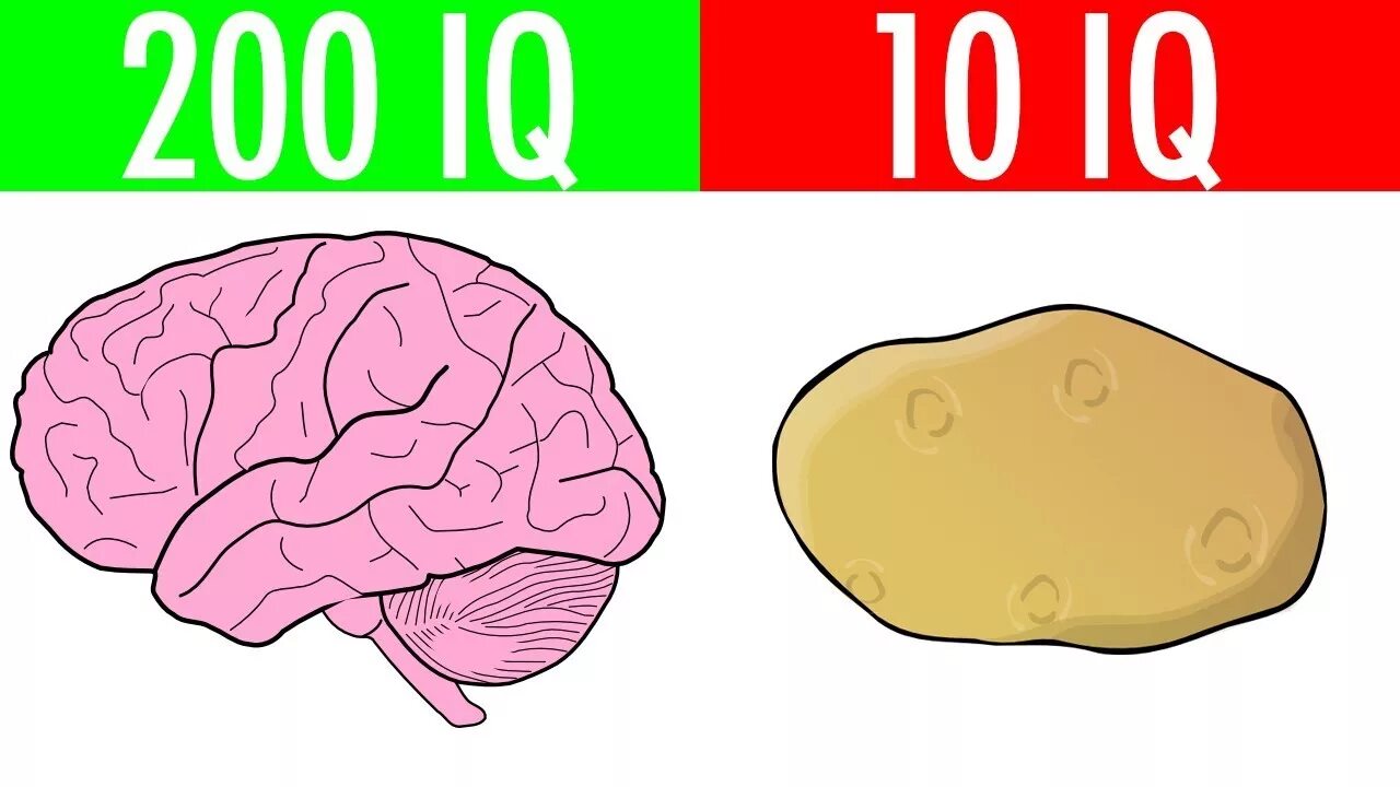 Тест на iq 10. 10 IQ. 200 IQ. 1000 Айкью.