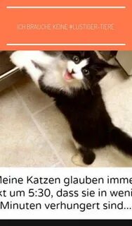 Ich keine