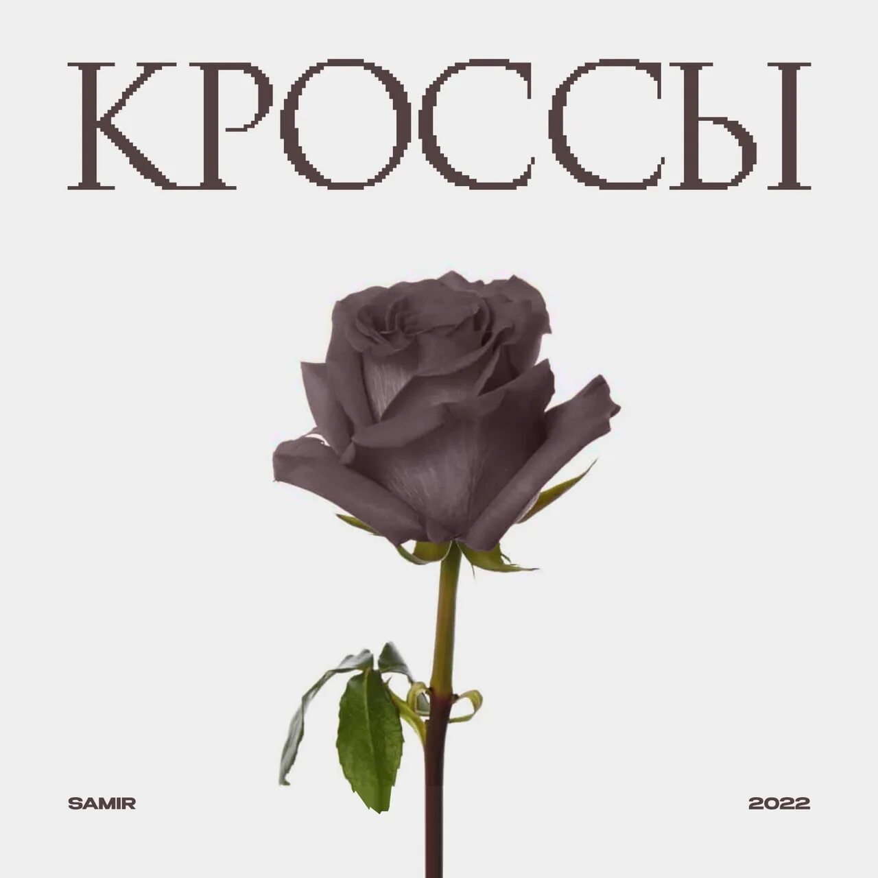 Песня кроссы. Песня кроссы