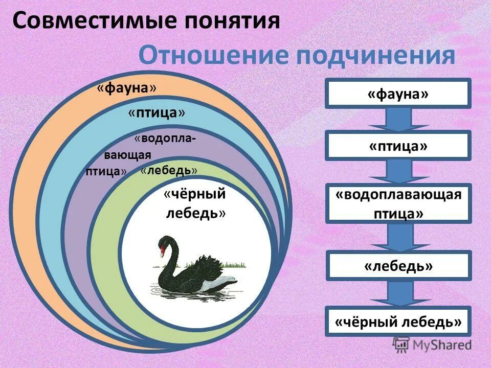 Мир понятий 4 класс. Совместимые и несовместимые понятия. совместимые понятия примеры. примеры совместимых и несовместимых понятий. совместимые понятия это понятия.