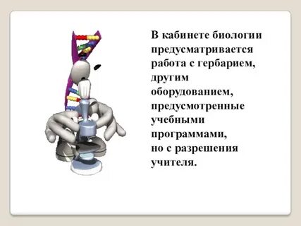 Правила биологии