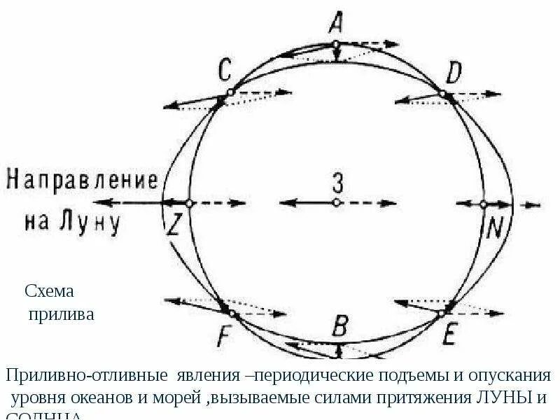 Что такое приливы. Приливы схема. схема лунных приливов. приливообразующая сила луны и солнца. астрономия схема лунных приливов.