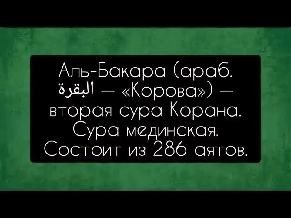 Сура 2 корова. Аль Бакара 2 Сура корова. Сура Аль Бакара корова. Сура корова. Коран Сура корова.