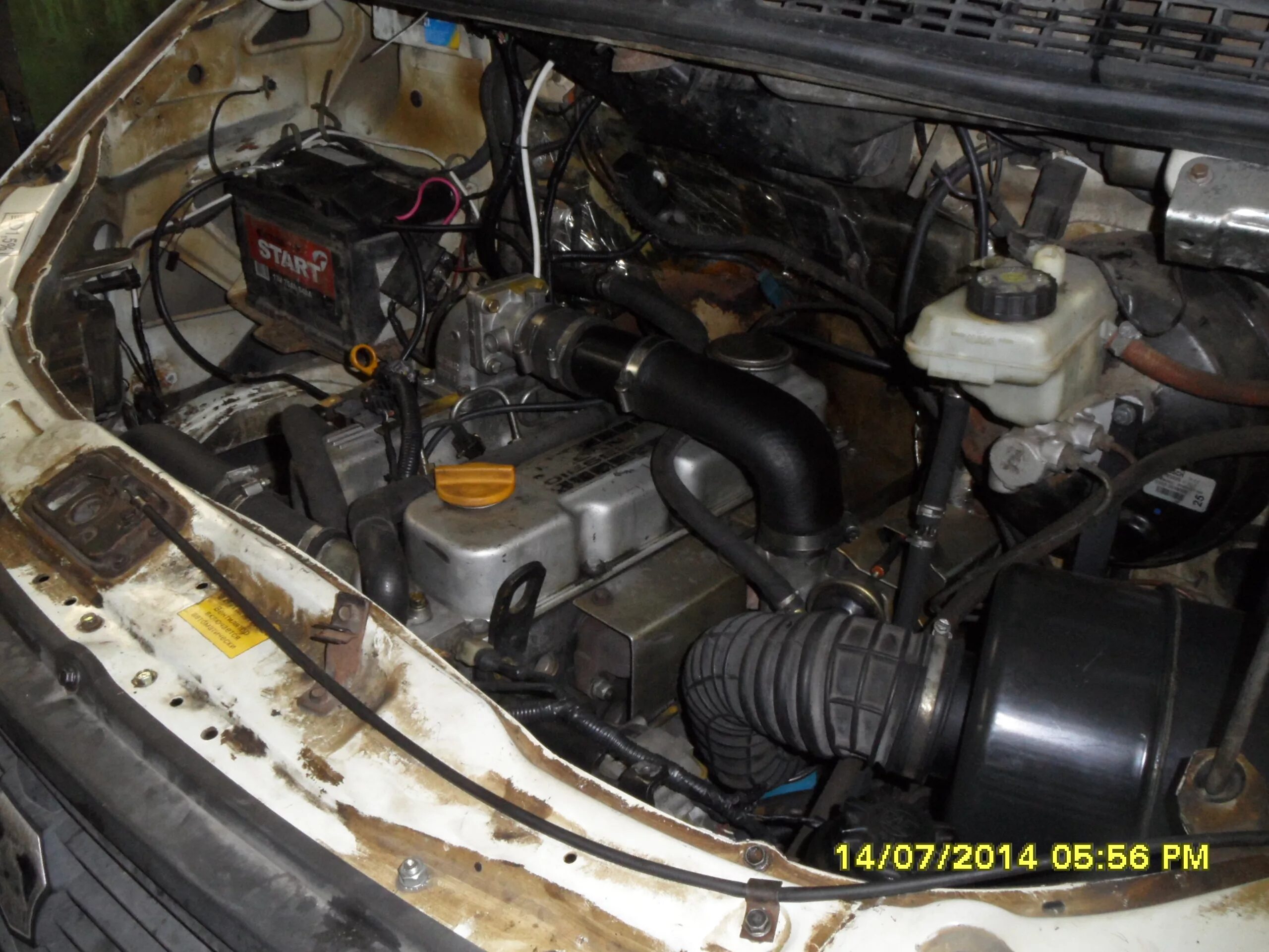 газель турбодизель двигатель. двигатель газель 2. какой дизель на газель лучше. дизель штайер на газель. мотор 405 газель некст.