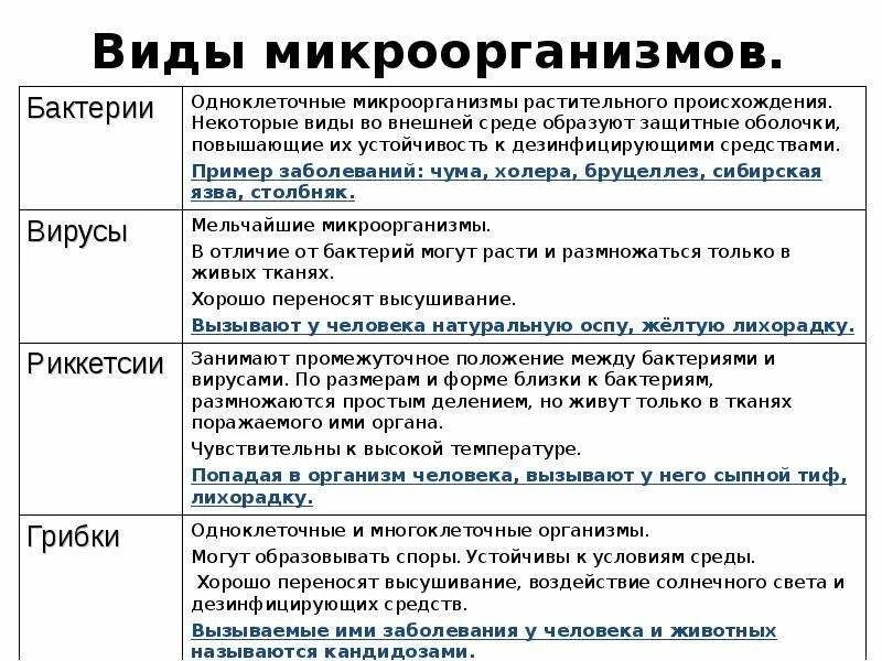 Общие свойства бактерий. Основные группы микробов. Основные группы микроорганизмов. Общая характеристика основных групп микроорганизмов. Виды микроорганизмов таблица.