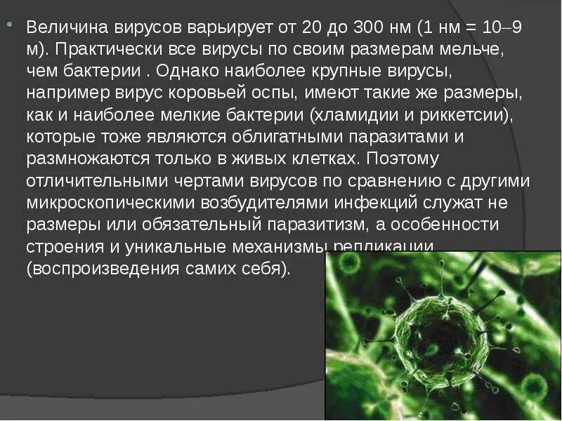 Вирус является живым организмом. Крупные вирусы. Как называются самые крупные вирусы. Крупные вирусы человека. Самый крупный вирус.