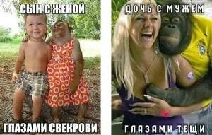 Сноха глазами свекрови. Жена мужа глазами свекрови. Сын глазами свекрови