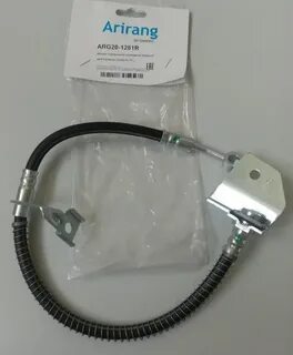 Arg 20
