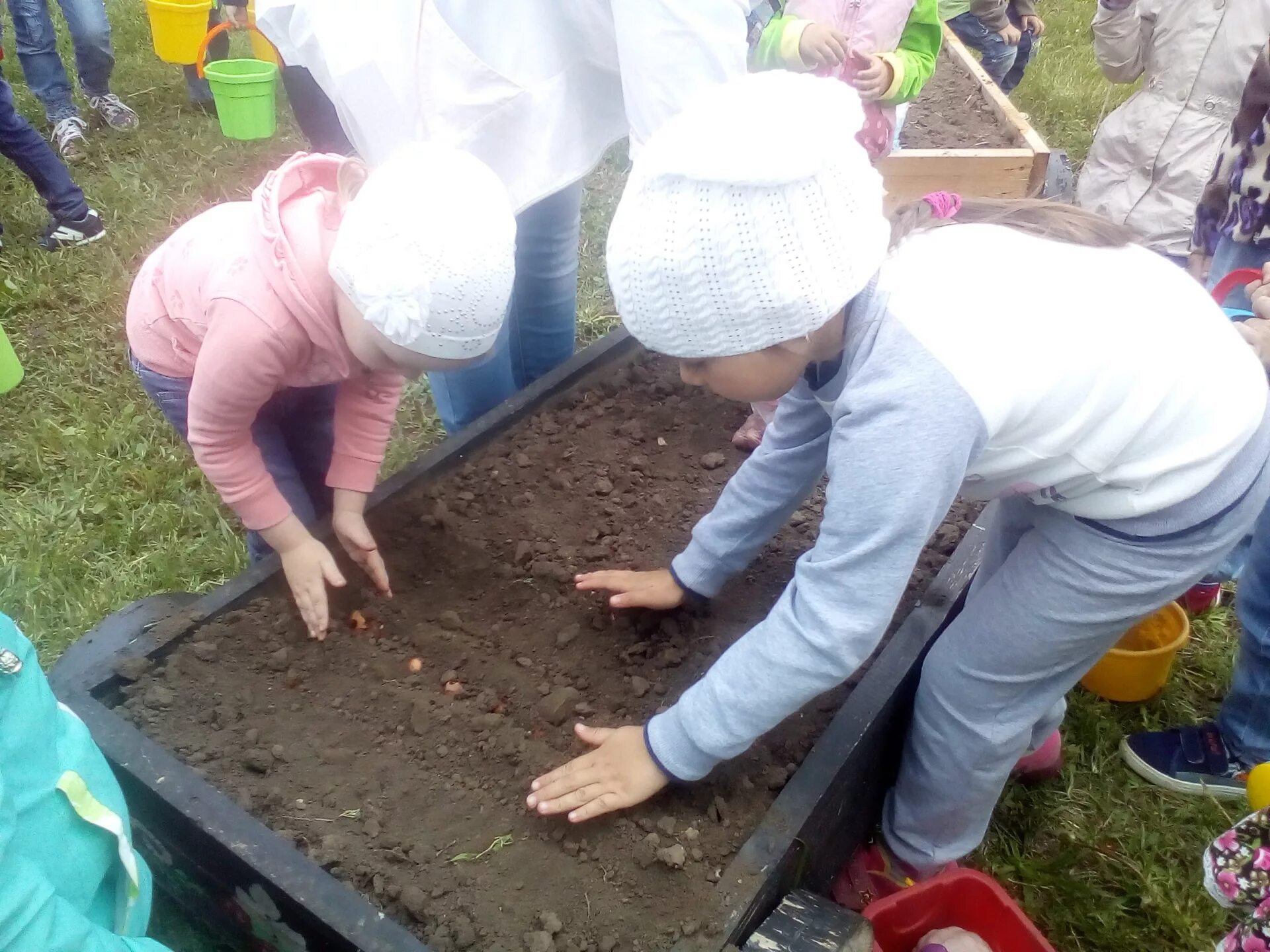 Дети посадили огород. Посадка огорода в детском саду. Детский огород в детском саду. Огород в ДОУ для детей. Дети сажают огород в детском саду.