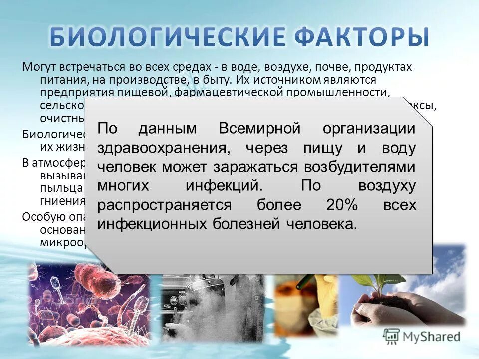 существование максимальный