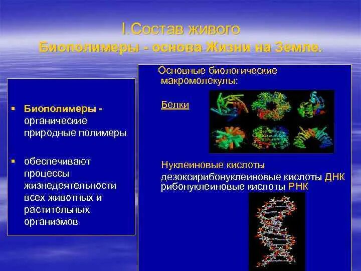 Первый биополимер. Основные биополимеры. Биологические макромолекулы. Биополимеры и их роль в живой клетке. Биологические биополимеры.