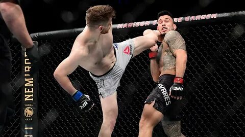 Ufc прямая ссылка