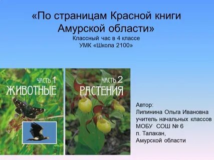 Амурская книги