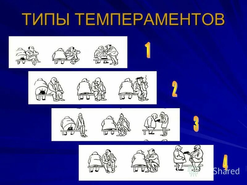 Верный тип темперамента. Виды темперамента. 4 темперамента. четыре разных темперамента. типы темперамента фото.