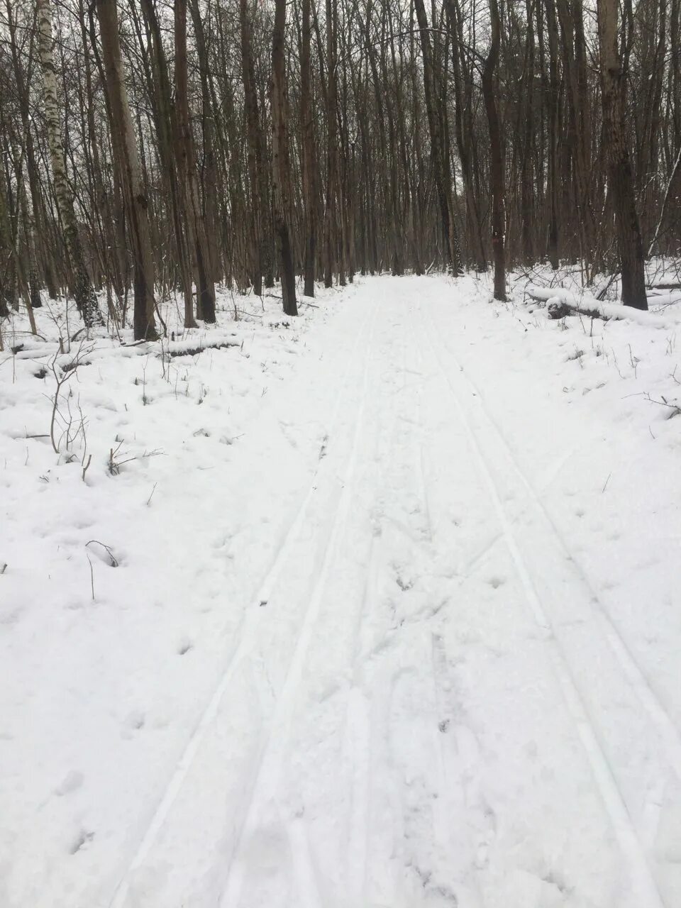 Погода борисово поле. Погода борисово поле. Борисово кемеровская область. Силуан лысковский и лукояновский. Погода борисово поле.