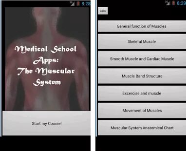 Muscle приложение. Muscle приложение