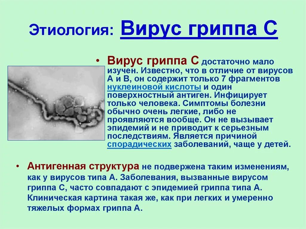 Вирус гриппа. Типы вируса гриппа. Вирус гриппа c. Вирус гриппа группы б.