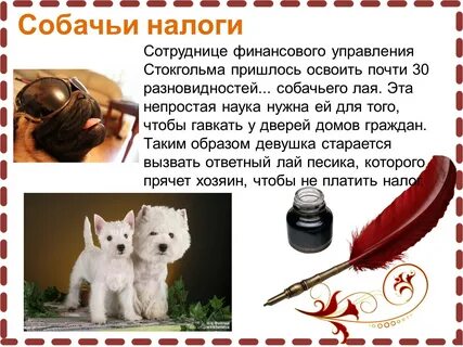 Самые нелепые налоги