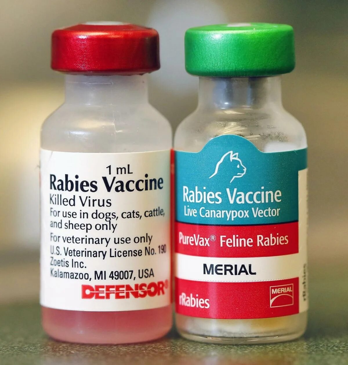 Вакцина rabies. Вакцина Rabies vaccine for Human. Purevax Rabies. Purevax Feline Rabies vaccine. Пуревакс от бешенство вакцина.