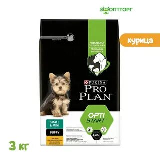 Plan puppy