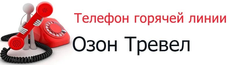 Как связаться с озоном напрямую
