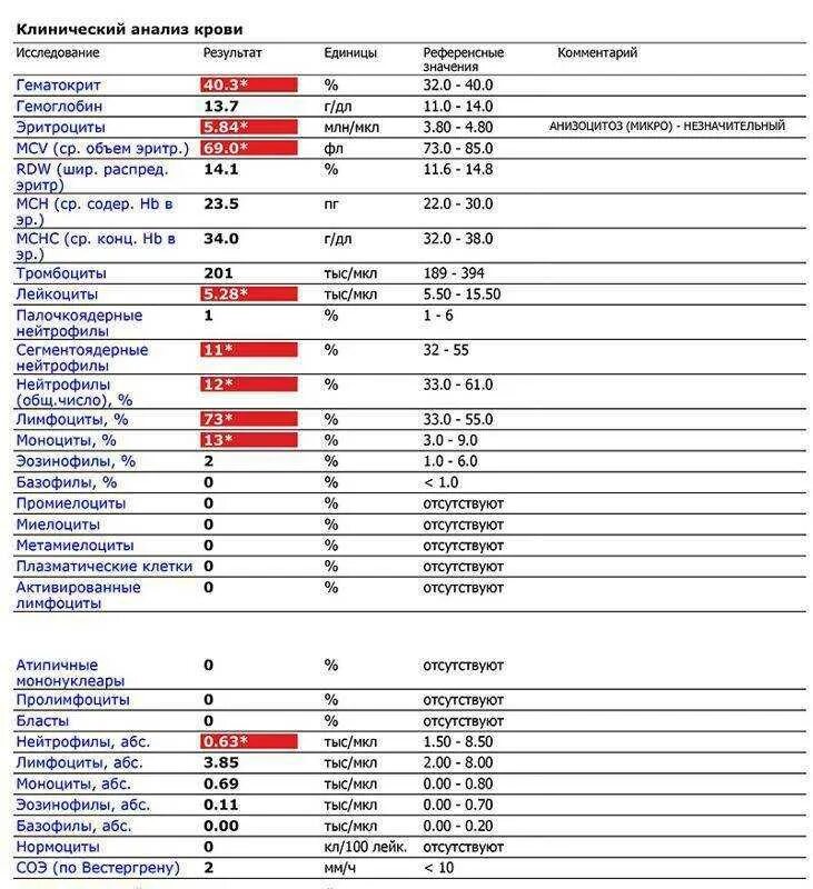 Плохие результаты крови. Общий анализ крови лимфоциты норма. Т лимфоциты в общем анализе крови. Анализ крови норма в лимфоциты в крови. Как обозначают лимфоциты в анализе крови.