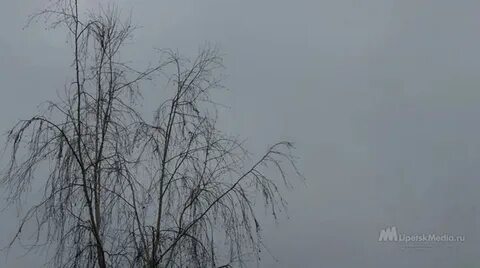 Холодный липецк
