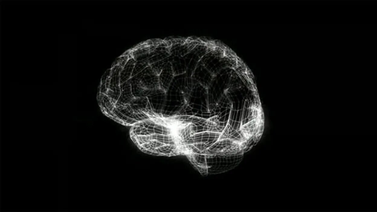 Brain project. Black Brain. Human Brain Project. Блак мозг. Больцмановский мозг.