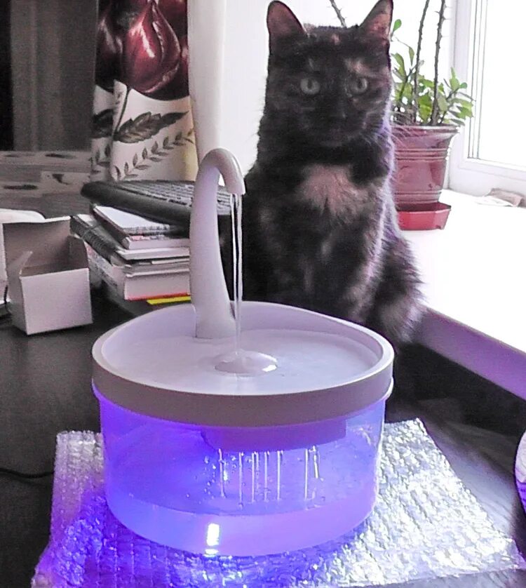 Электропоилка фонтан для кошек. Автопоилка для кошек фонтанчик. Фонтанчик для кошек 4 лапы. Milliery поилка миска. Поилка фонтан для кошек купить