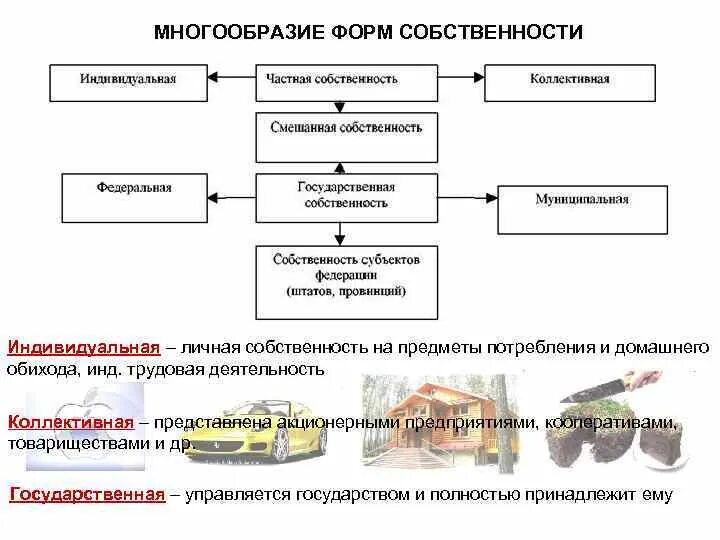 Формы собственности в рыночных условиях. Многообразие норм собственности. Частная и многообразие форм собственности. Разнообразие видов собственности. Многообразие форм собственности. Виды собственности.