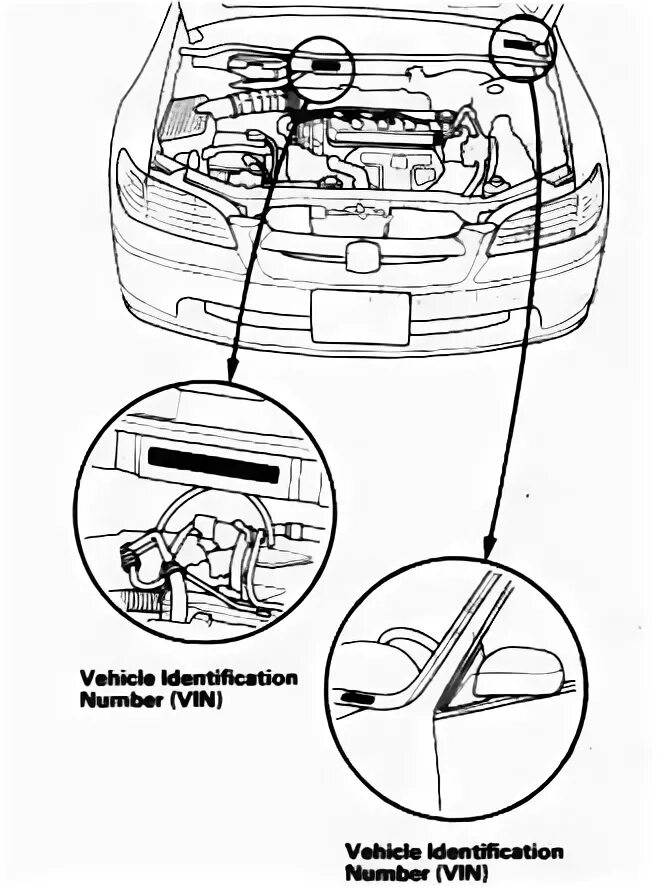 Вин номер на honda civic 2008. Вин кузова хонда цивик 7. Vin номер honda civic 5d. Honda civic 8 табличка с вин. Номер кузова хонда цивик 2001 год.