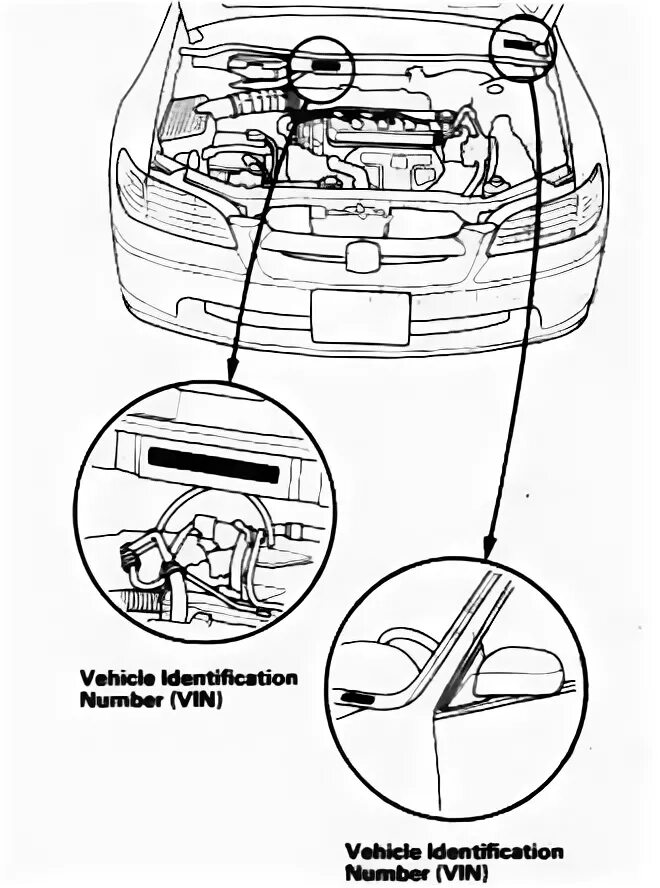 VIN номер на Honda Civic 5d. Номер кузова Хонда Цивик 5д. Вин код кузова Хонда Цивик 5д. Вин номер Хонда Аккорд 7. Vin хонда