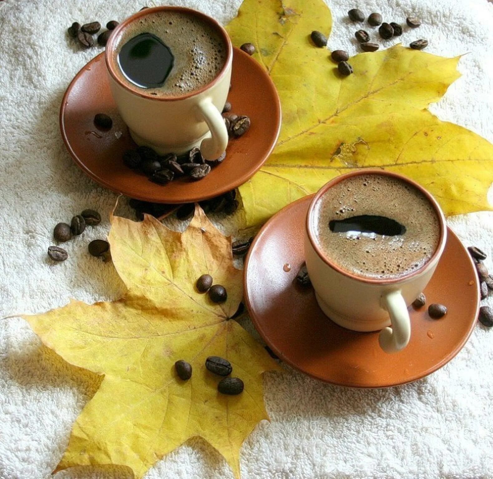 Доброе утро картинки осень. Доброе утро осень. Осень кофе. Доброе осеннее утро. Утро кофе осень.