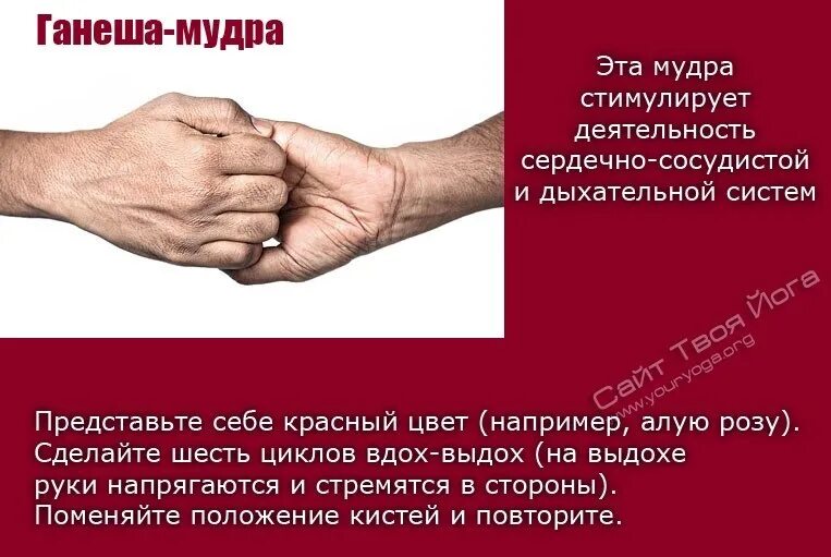 Мудра для сердца. Мудрый Ганеша. Мудра Ганеши. Мудра Ганеша техника. Мудра Ганапати.