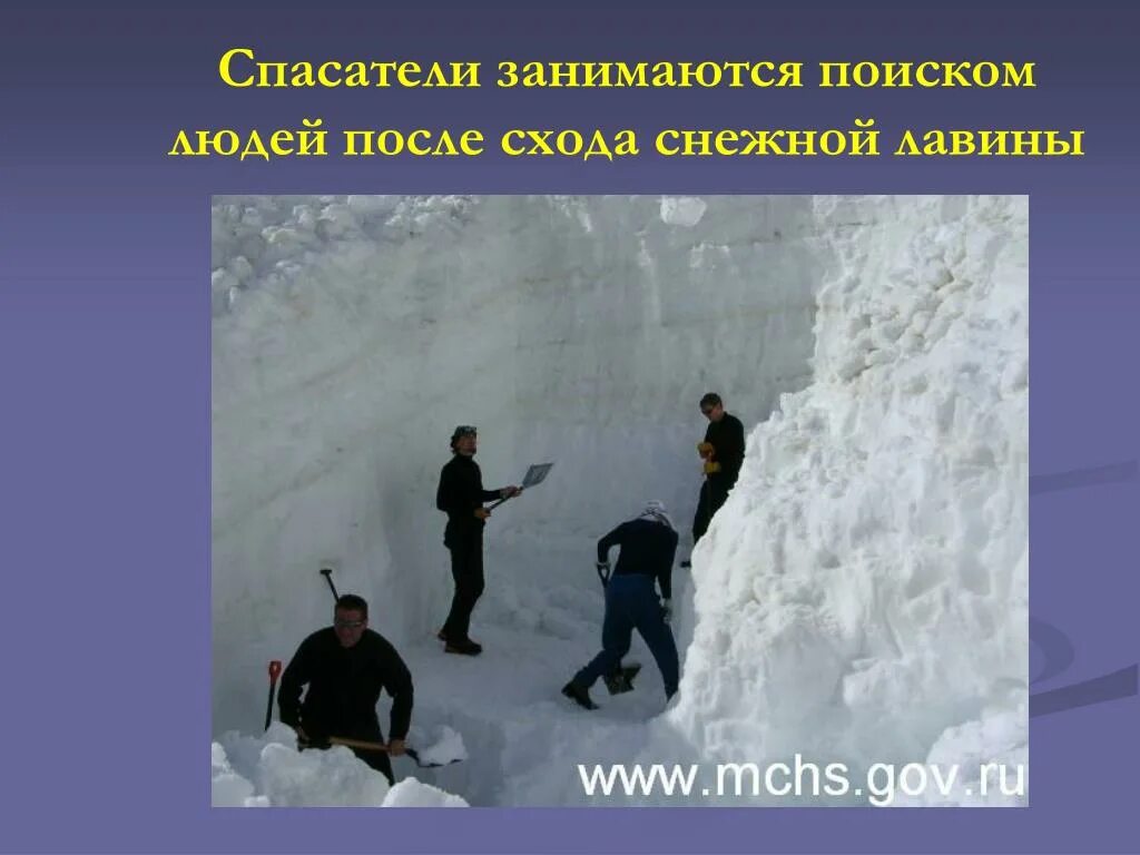 Утраченные фрагменты монумента с помощью соруш. Поход в лес. Профессия спасатель. Волонтерство в лесу. Непонятно чем занимается.