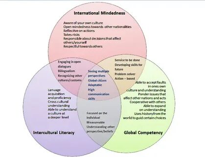 Understanding in education