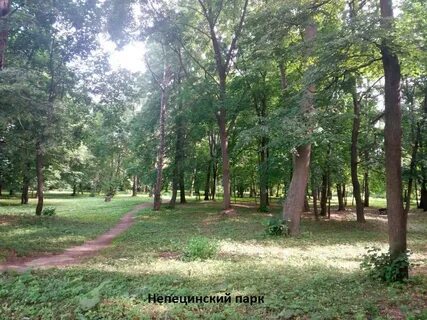 Благоустройство коломенского парка