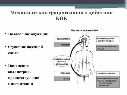 Кок что это