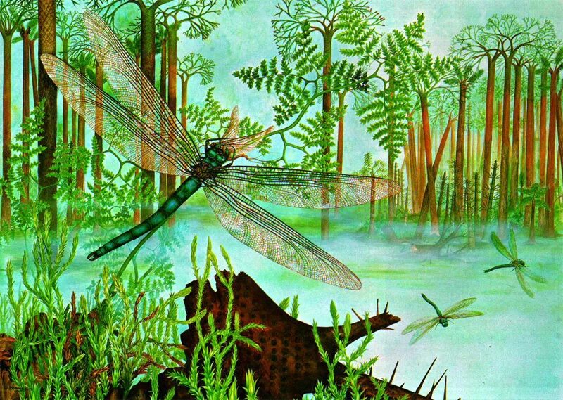 Карбон эра период. Каменноугольный период палеозойской эры. меганевра эра. палеозойская эра каменноугольный период период. карбон период палеозойской эры.