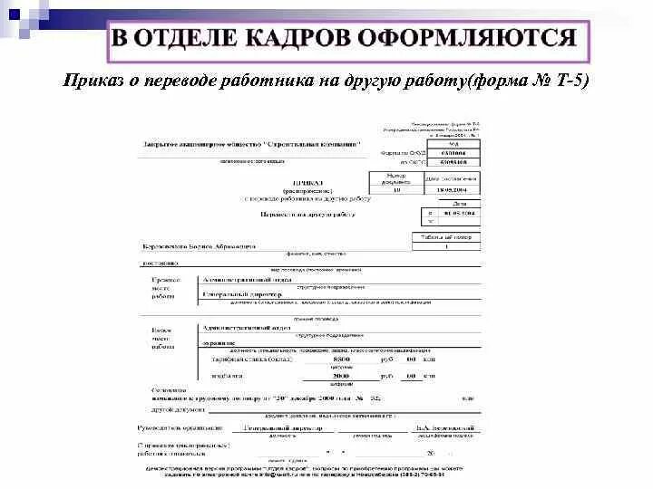 Т 5 образец. Приказ о переводе работника на другую работу. Приказ о переводе бланк. Форма приказа о переводе на другую работу. Приказ о переводе т-.