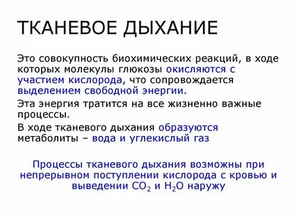 Определение процесса дыхания