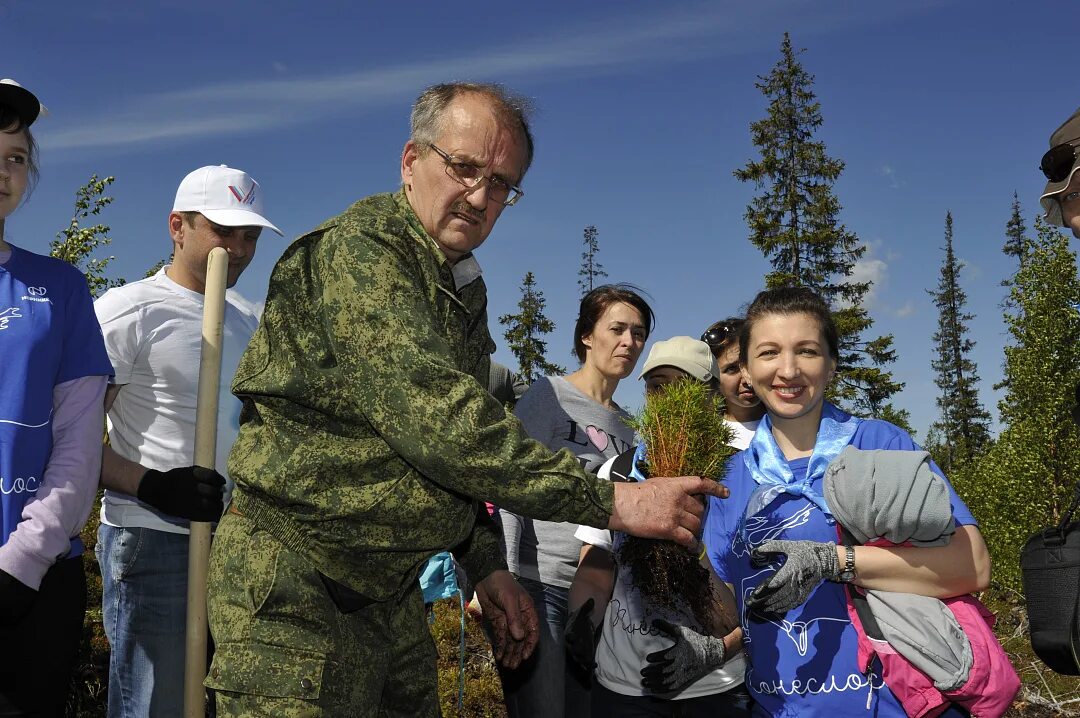 Мурманское лесничество. Границы лесничеств мурманской области. Мурманск министерство лесного хозяйства. Мурманское лесничество. Сандовская школа тверская область.